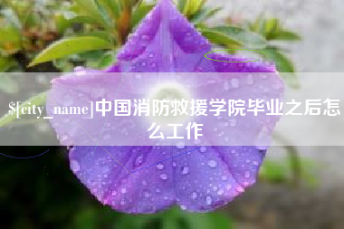 灵宝中国消防救援学院毕业之后怎么工作