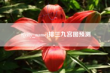 灵宝排三九宫图预测