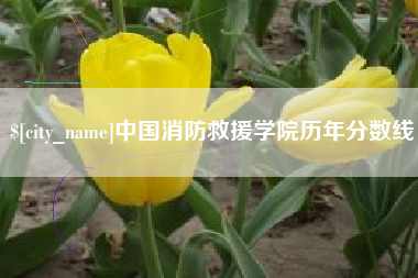灵宝中国消防救援学院历年分数线