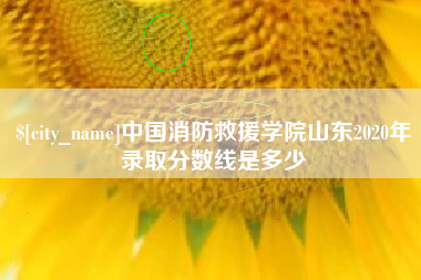 灵宝中国消防救援学院山东2020年录取分数线是多少