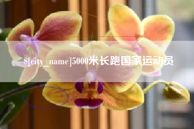 灵宝5000米长跑国家运动员