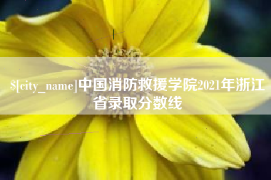 灵宝中国消防救援学院2021年浙江省录取分数线