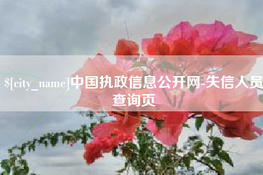 灵宝中国执政信息公开网-失信人员查询页