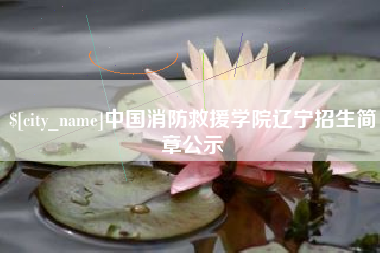 灵宝中国消防救援学院辽宁招生简章公示