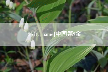 灵宝中国第9金