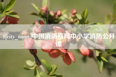 灵宝中国消防官网中小学消防公开课