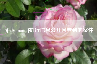 灵宝执行信息公开网查到的案件
