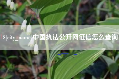 灵宝中国执法公开网征信怎么查询