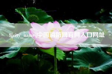 灵宝中国消防网官网入口网址