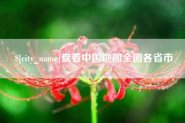 灵宝查看中国地图全图各省市