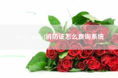 灵宝消防证怎么查询系统