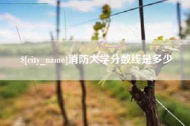 灵宝消防大学分数线是多少