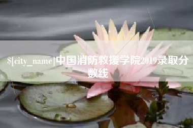 灵宝中国消防救援学院2019录取分数线