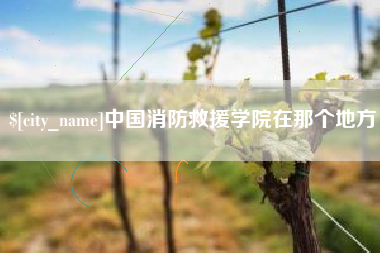 灵宝中国消防救援学院在那个地方