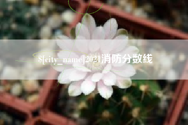 灵宝2021消防分数线