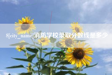 灵宝消防学校录取分数线是多少