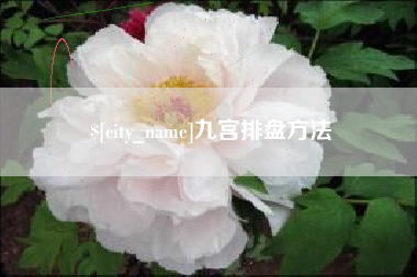 灵宝九宫排盘方法