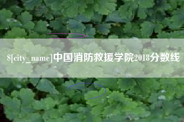 灵宝中国消防救援学院2018分数线