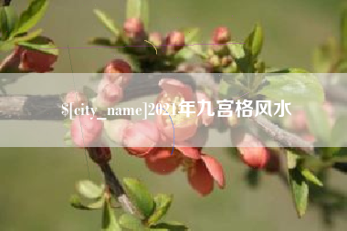 灵宝2021年九宫格风水