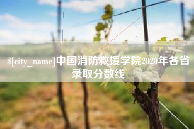灵宝中国消防救援学院2020年各省录取分数线