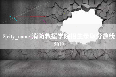 灵宝消防救援学院招生录取分数线2019