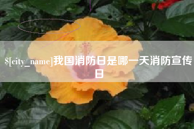 灵宝我国消防日是哪一天消防宣传日
