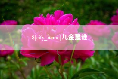 灵宝九金是谁