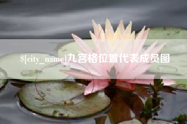 灵宝九宫格位置代表成员图