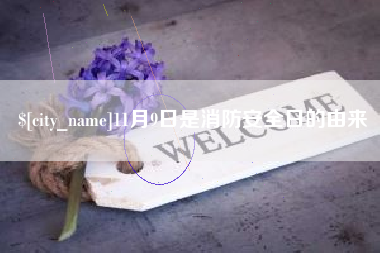 灵宝11月9日是消防安全日的由来