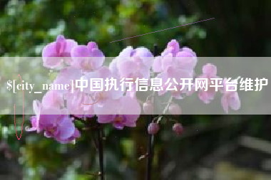 灵宝中国执行信息公开网平台维护