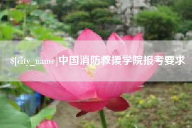 灵宝中国消防救援学院报考要求