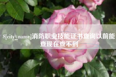 灵宝消防职业技能证书查询以前能查现在查不到
