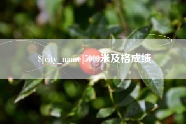 灵宝5000米及格成绩