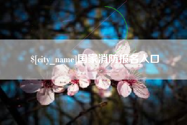 灵宝国家消防报名入口