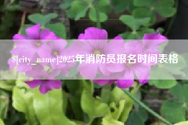灵宝2025年消防员报名时间表格