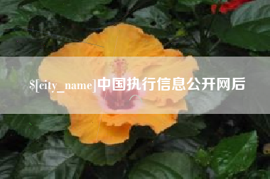 灵宝中国执行信息公开网后