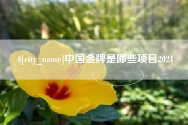 灵宝中国金牌是哪些项目2021