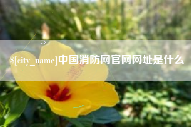 灵宝中国消防网官网网址是什么