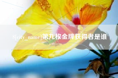 灵宝第九枚金牌获得者是谁