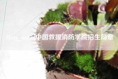灵宝中国救援消防学院招生简章
