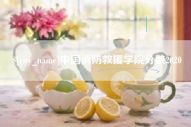 灵宝中国消防救援学院分数2020