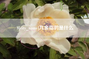 灵宝九金指的是什么