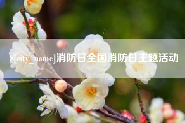 灵宝消防日全国消防日主题活动