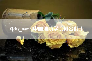 灵宝中国消防学院排名前十