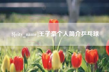 灵宝王子豪个人简介乒乓球