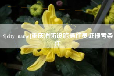 灵宝重庆消防设施操作员证报考条件