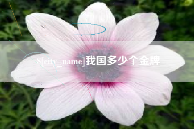 灵宝我国多少个金牌