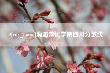灵宝消防救援学院四川分数线