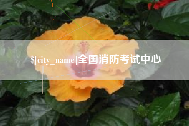 灵宝全国消防考试中心