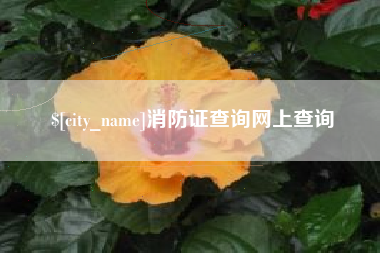 灵宝消防证查询网上查询